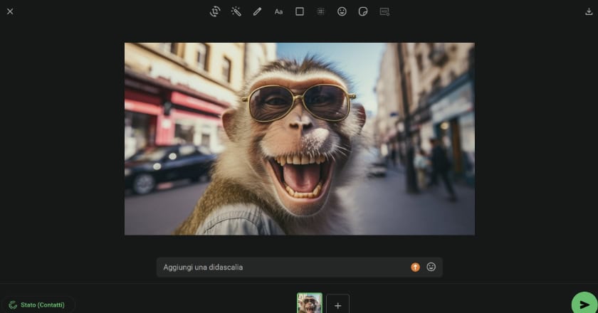 immagine di whatsapp per la selezione di un'immagine da aggiungere allo stato. Qui presente una scimmia con occhiali su sfondo strada città