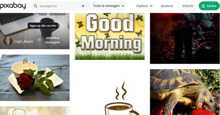Pixabay immagini buongiorno gratis home page
